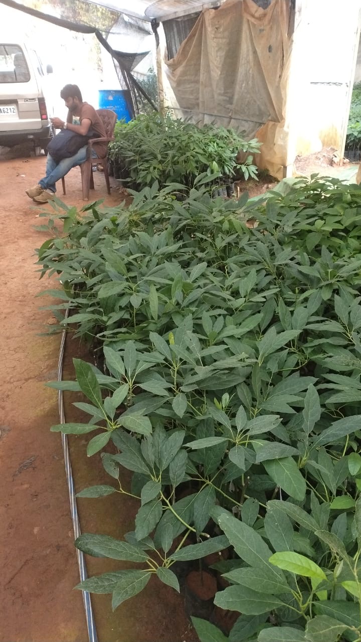 Customer Nursery Visit